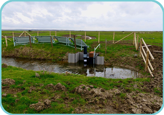 The second solar pump being installed thumb