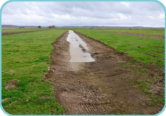 The new scrape beginning to fill thumb