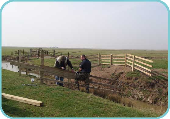 Fencing the new culvert thumb