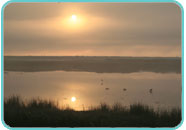 Sunrise over the reserve Sunrise over the reserve