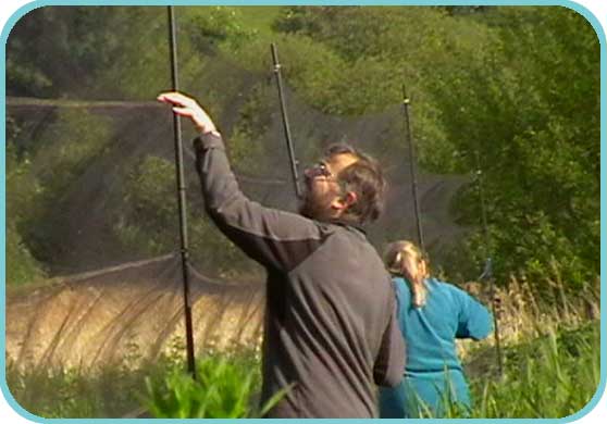 Setting the nets thumb